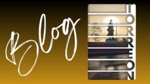 Blog Ofertas en Torreón Blog Ofertas en Torreón