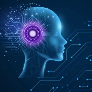 Categoría Servicios Digitales para Negocios